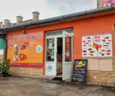 Pštrosi na výběhu v Doubravici nad Svitavou